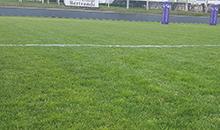 Sporty Plus, gazon à toutes épreuves