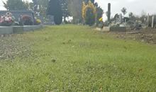 Engazonnement pas à pas