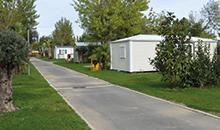 Réouverture des campings : vos gazons sont-ils prêts ?