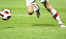 Un gazon solide toute l'année !