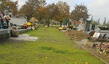 Cimetière enherbé & Gestion écologique
